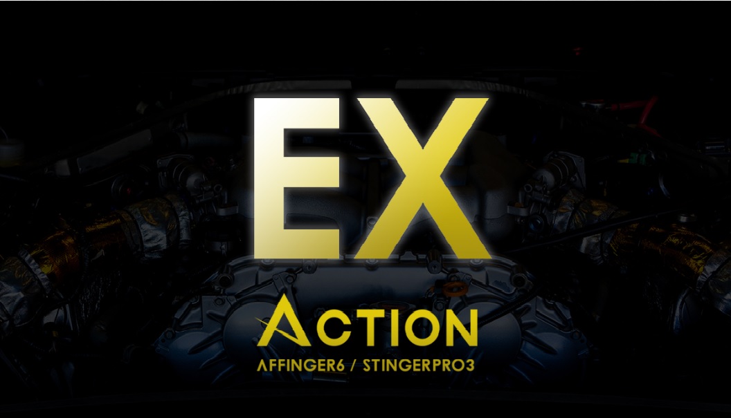 【ブログ運営】AFFIGER5からACTION（AFFINGER6/EX/STINGER